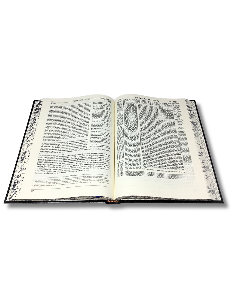 Talmud Tashema Moed Katan, large (27)