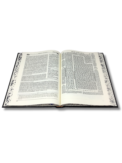 Talmud Tashema Moed Katan, large (27)