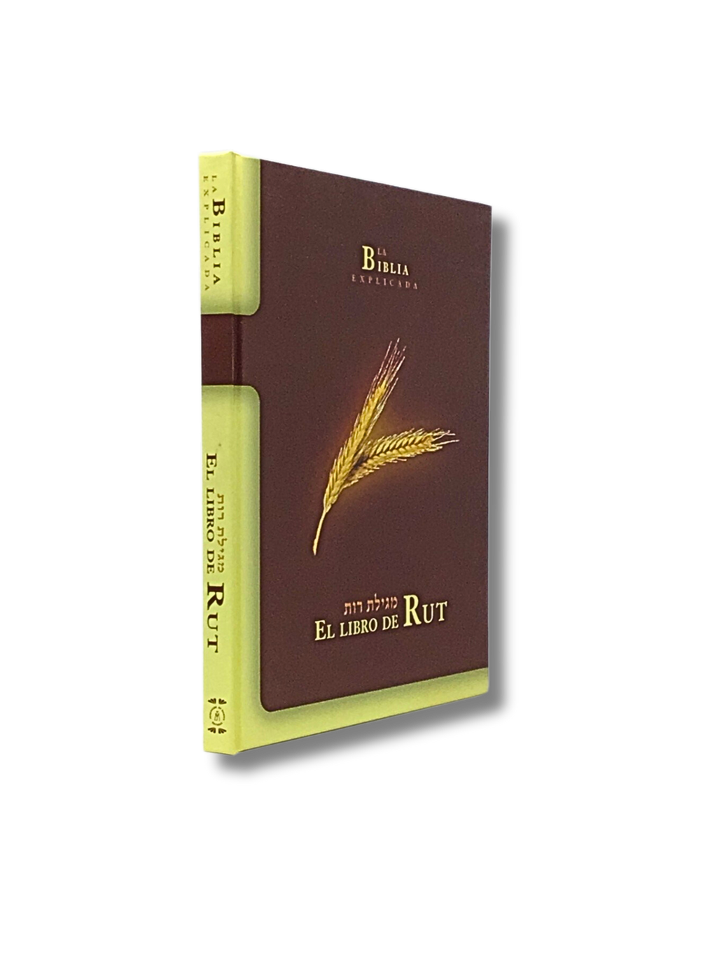 El libro de Rut, la Biblia explicada – Libreria Jerusalem Centro