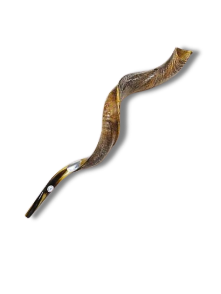 Shofar antilope large
