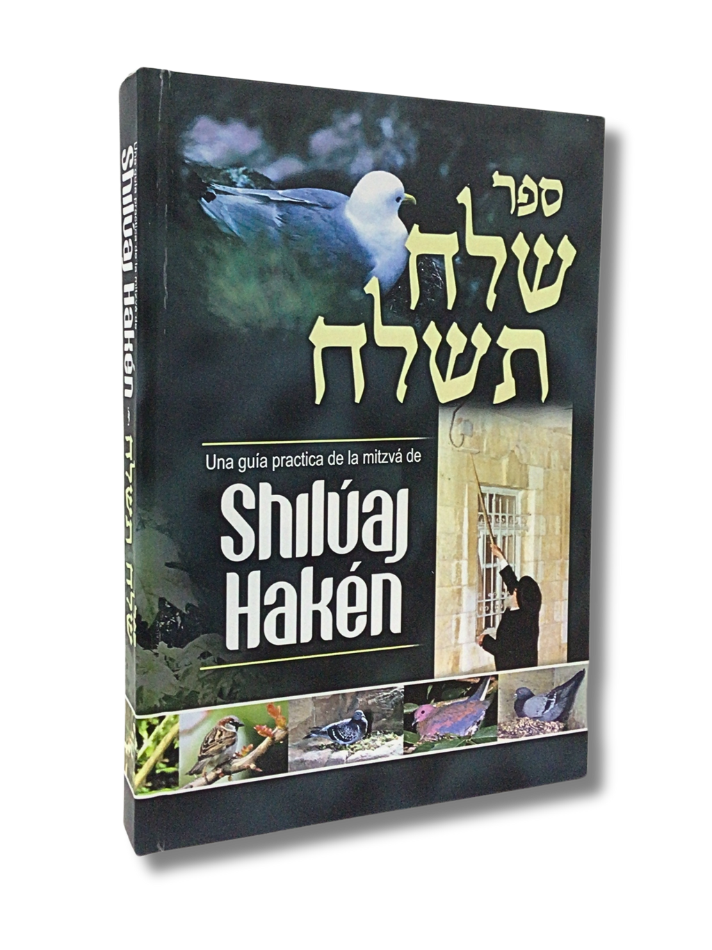 Shiluaj Haken Leyes practicas para cumplir la mitzva