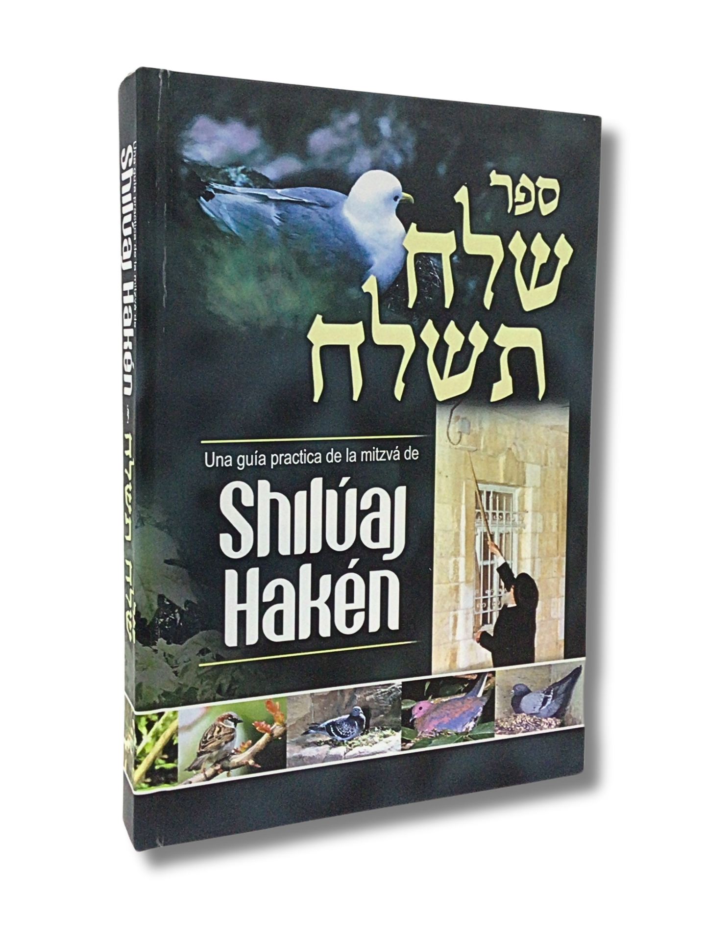 Shiluaj Haken Leyes practicas para cumplir la mitzva