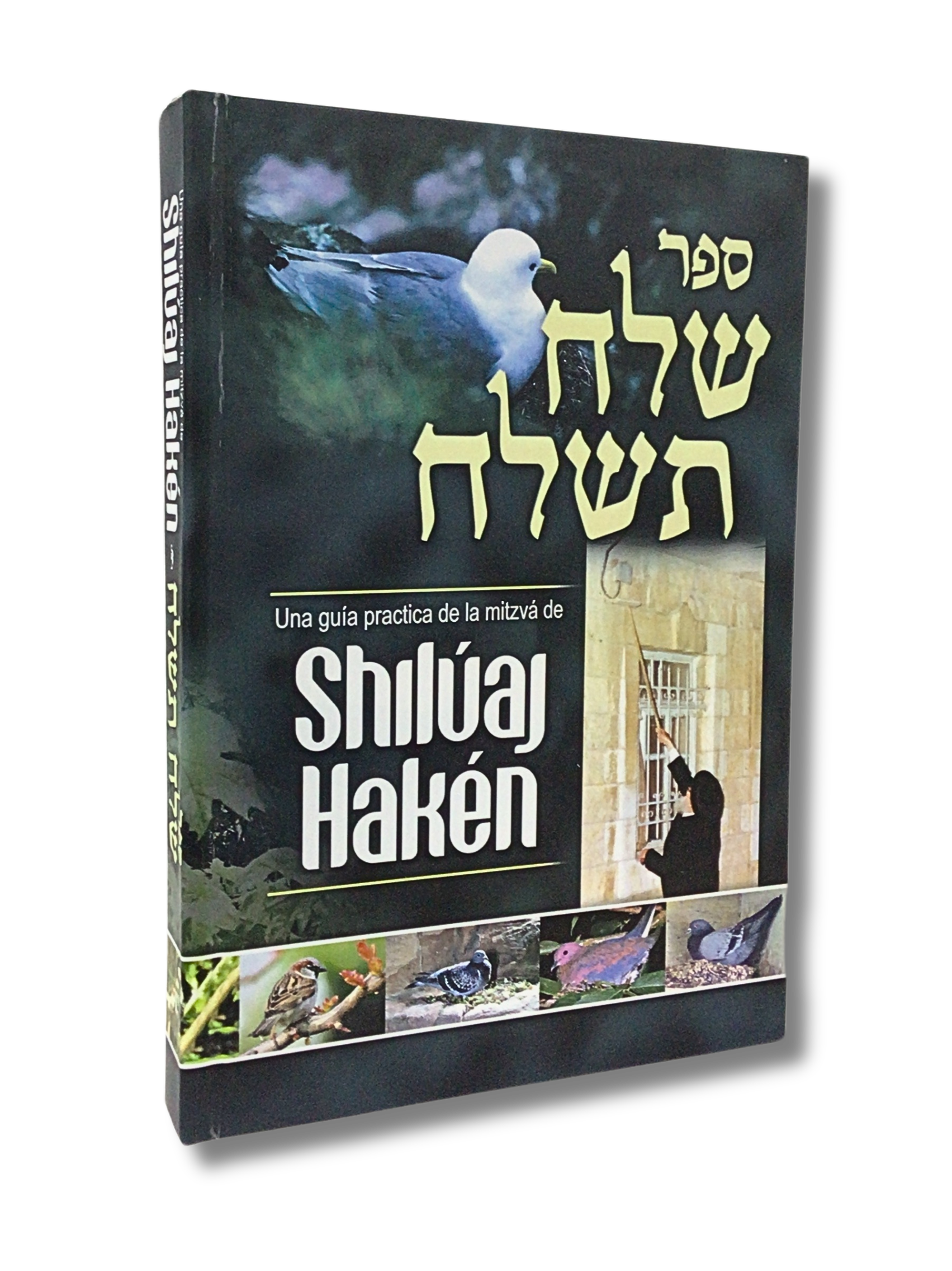 Shiluaj Haken Leyes practicas para cumplir la mitzva