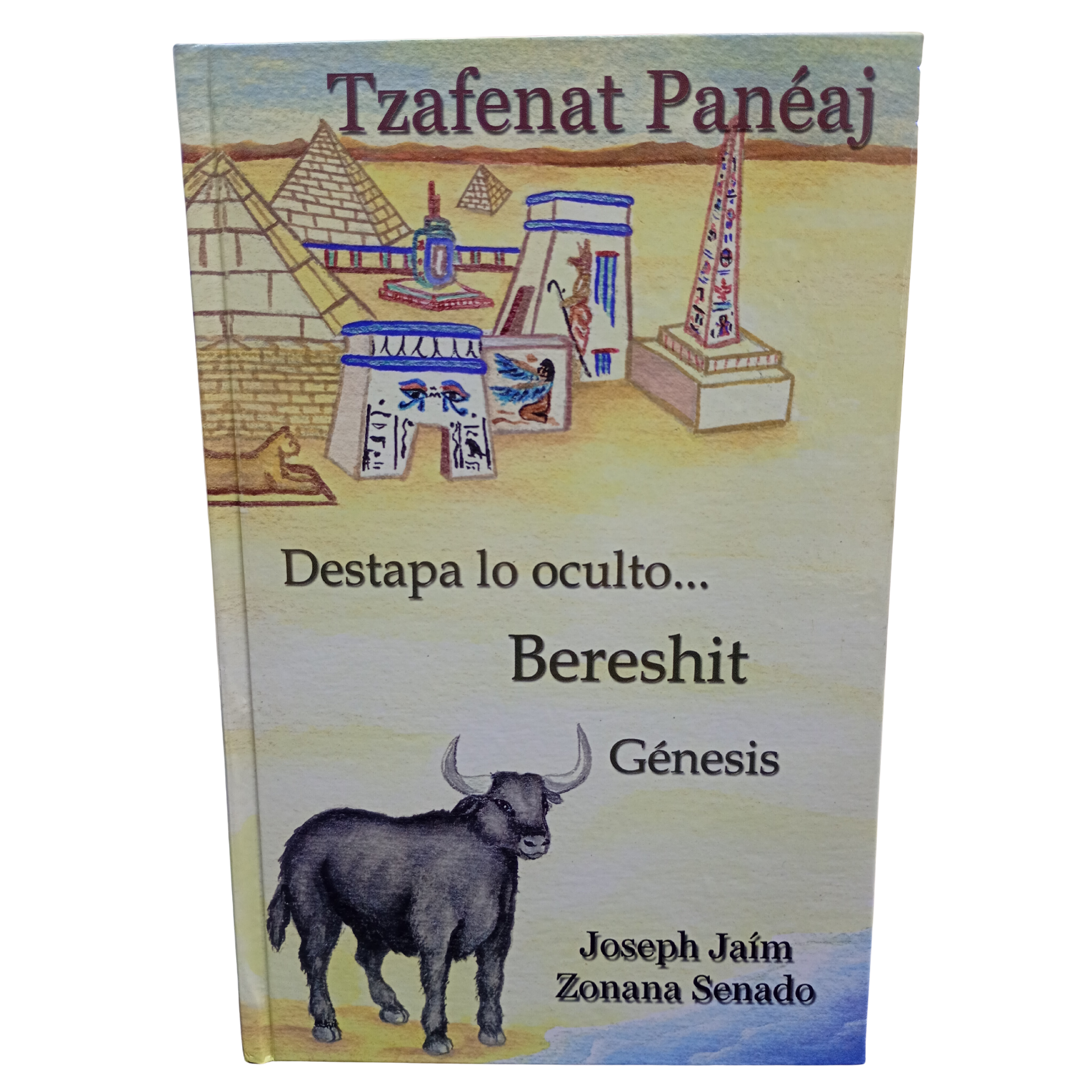 Tzafenat Paneaj Bereshit