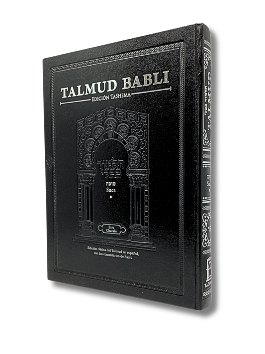 Talmud Tashema Sukkah Volume 1, large (19)