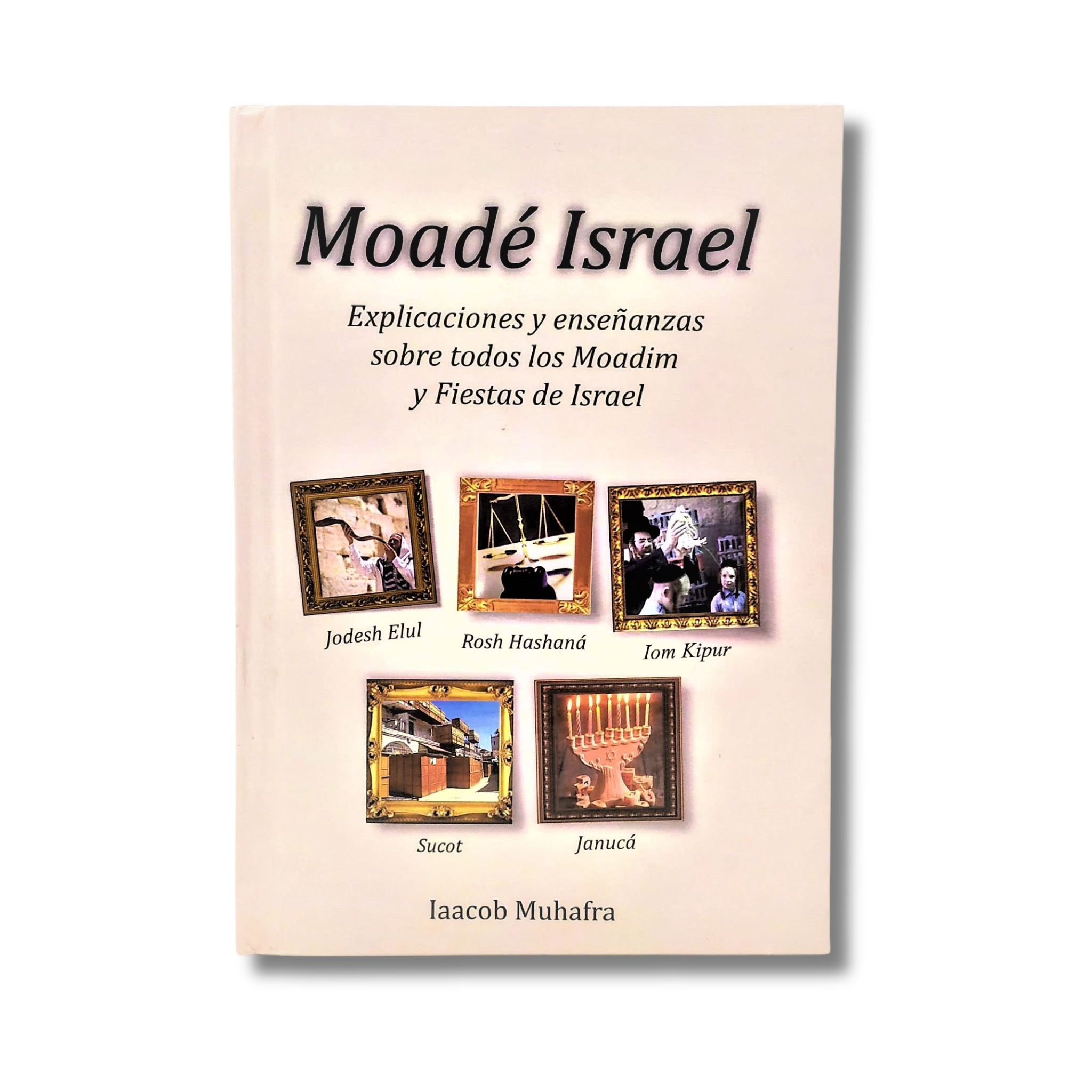 Moade Israel 11239
