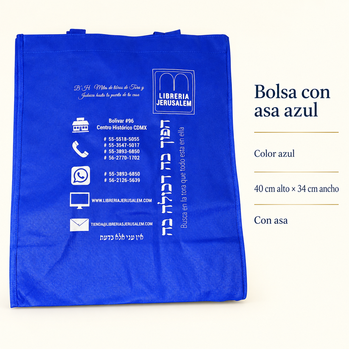 Ficha visual: Bolsa con asa color azul.