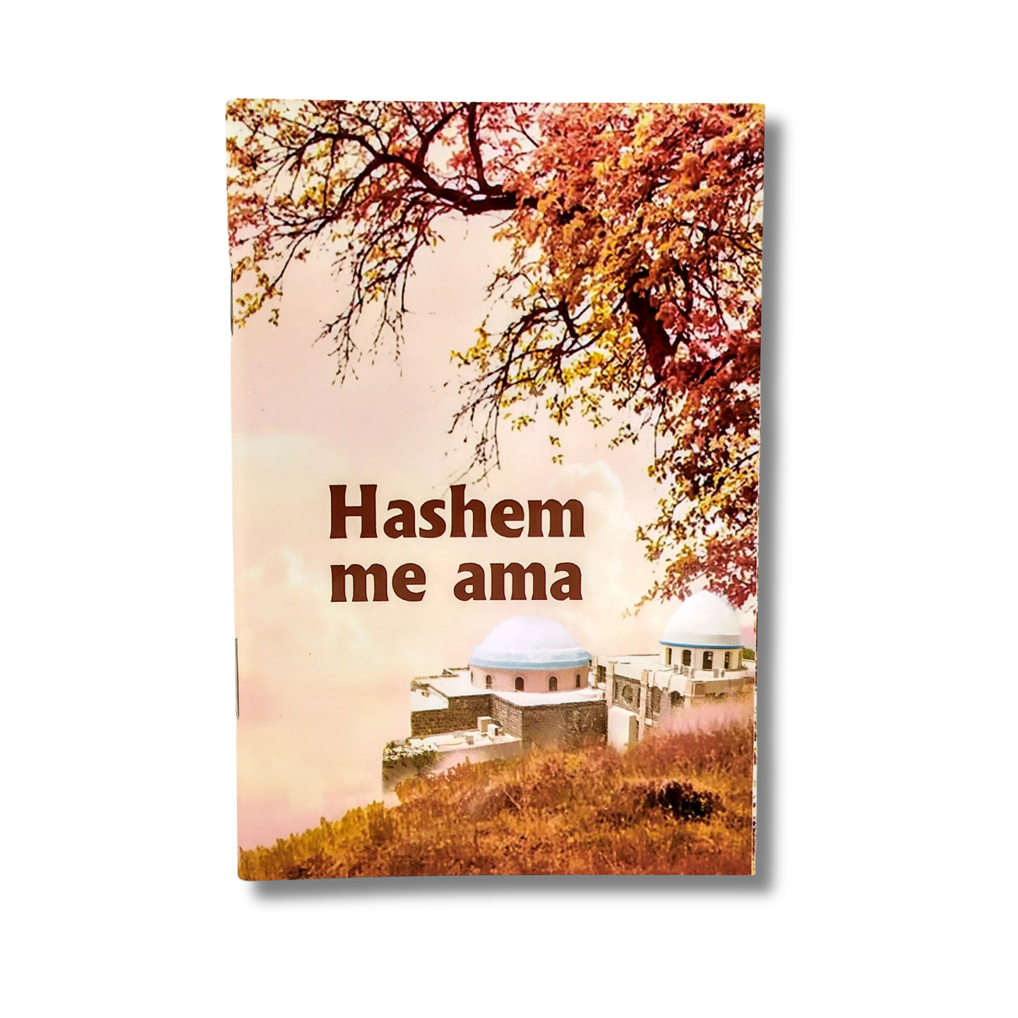 Las Joyitas,  Hashem me ama