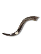 Shofar antilope small