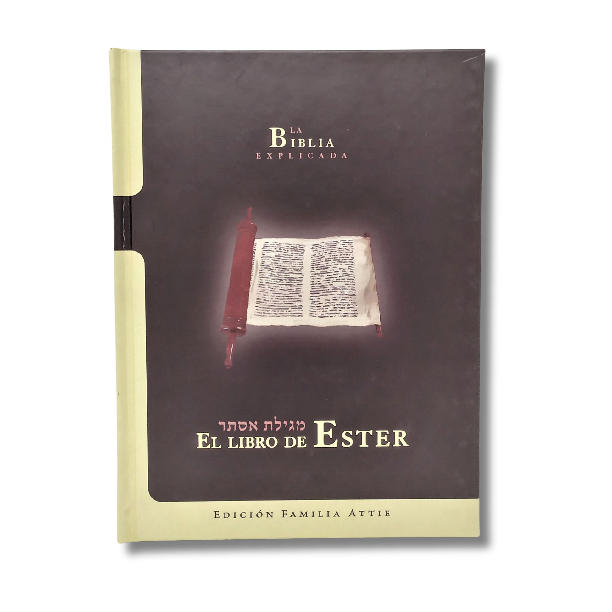 The Book of Esther the Bible explained Boy