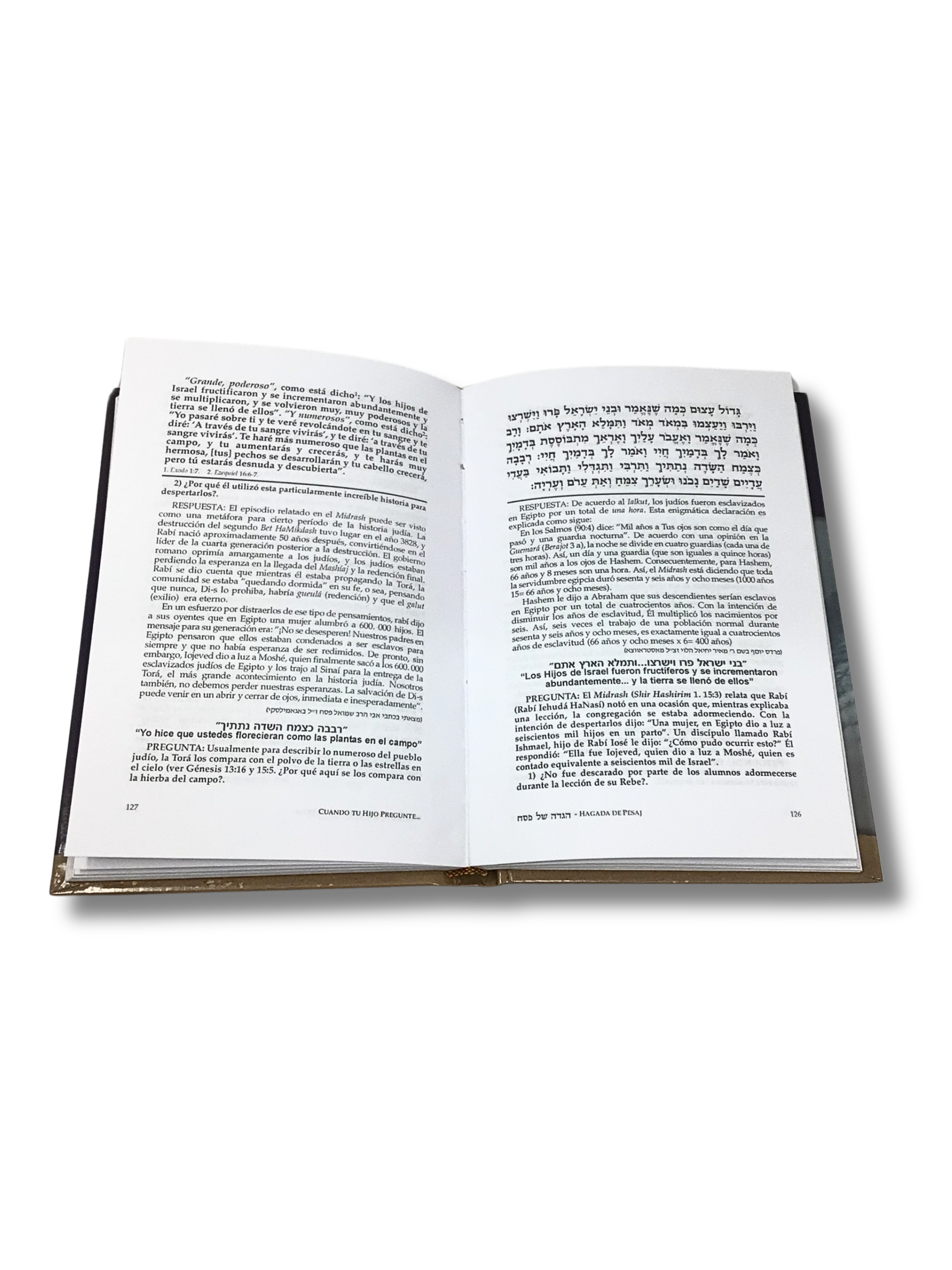 Passover Haggadah When Your Child Asks