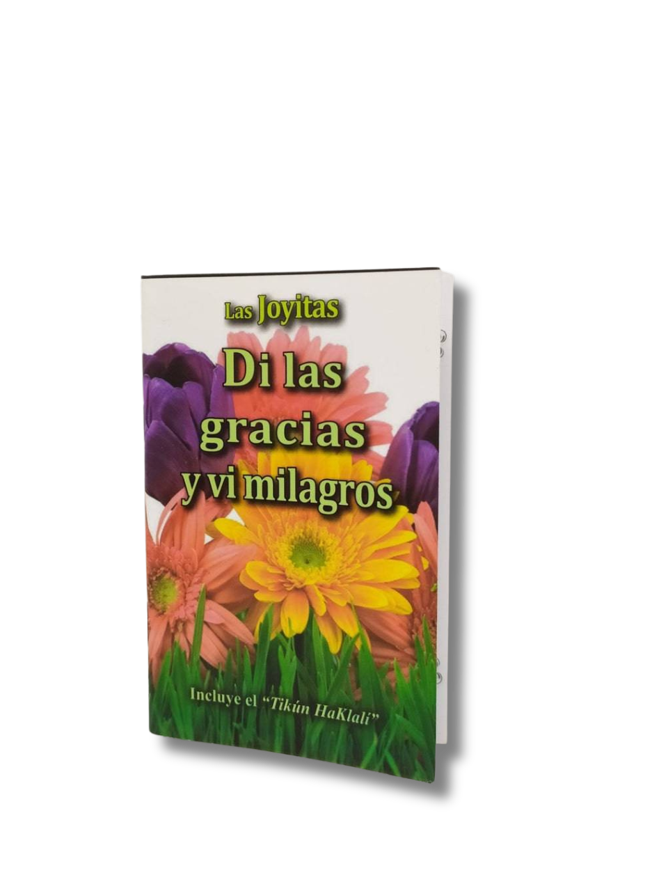 Las Joyitas, Di Las Gracias Y Vi Milagros