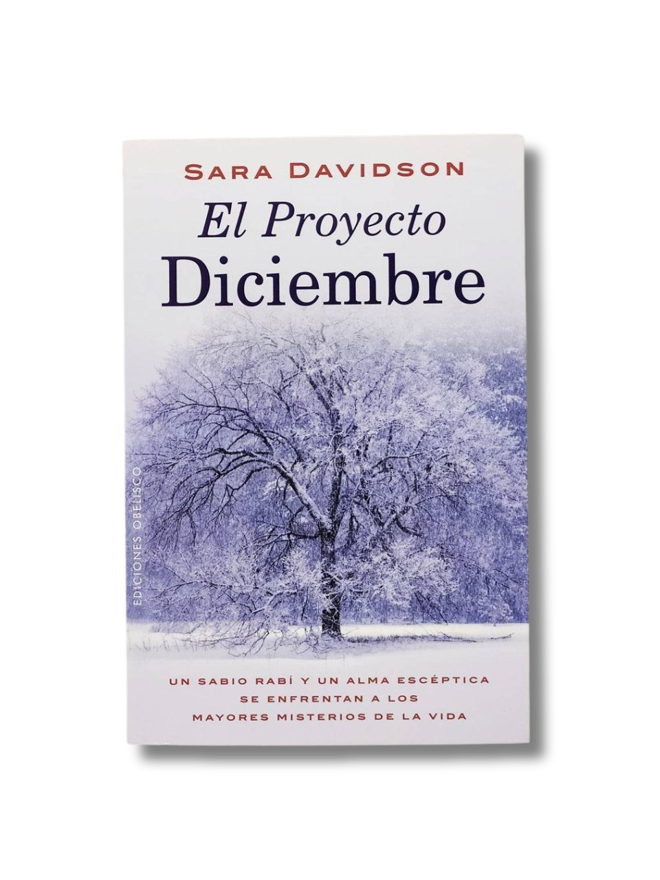 El Proyecto Diciembre