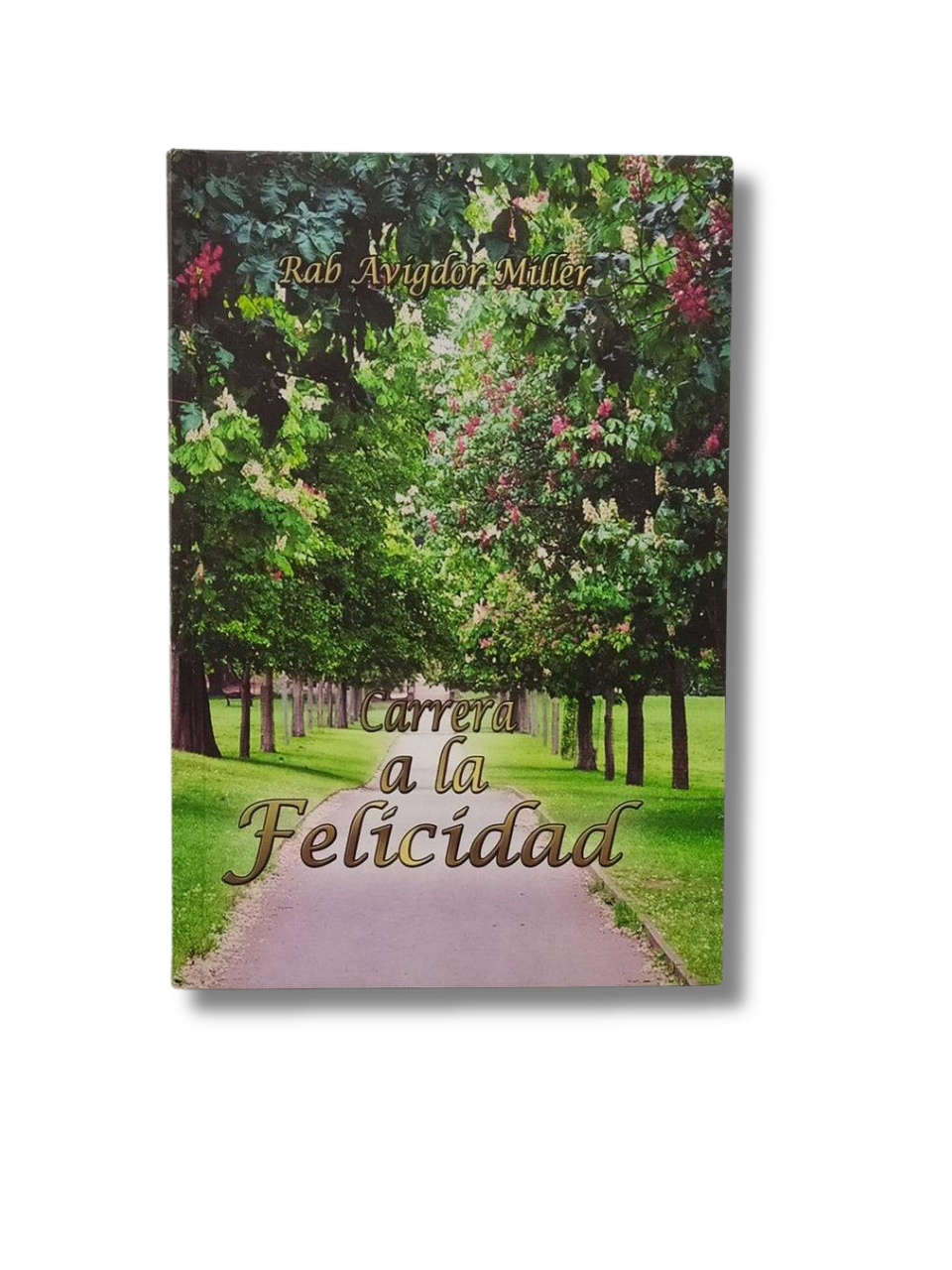 Carrera a la felicidad
