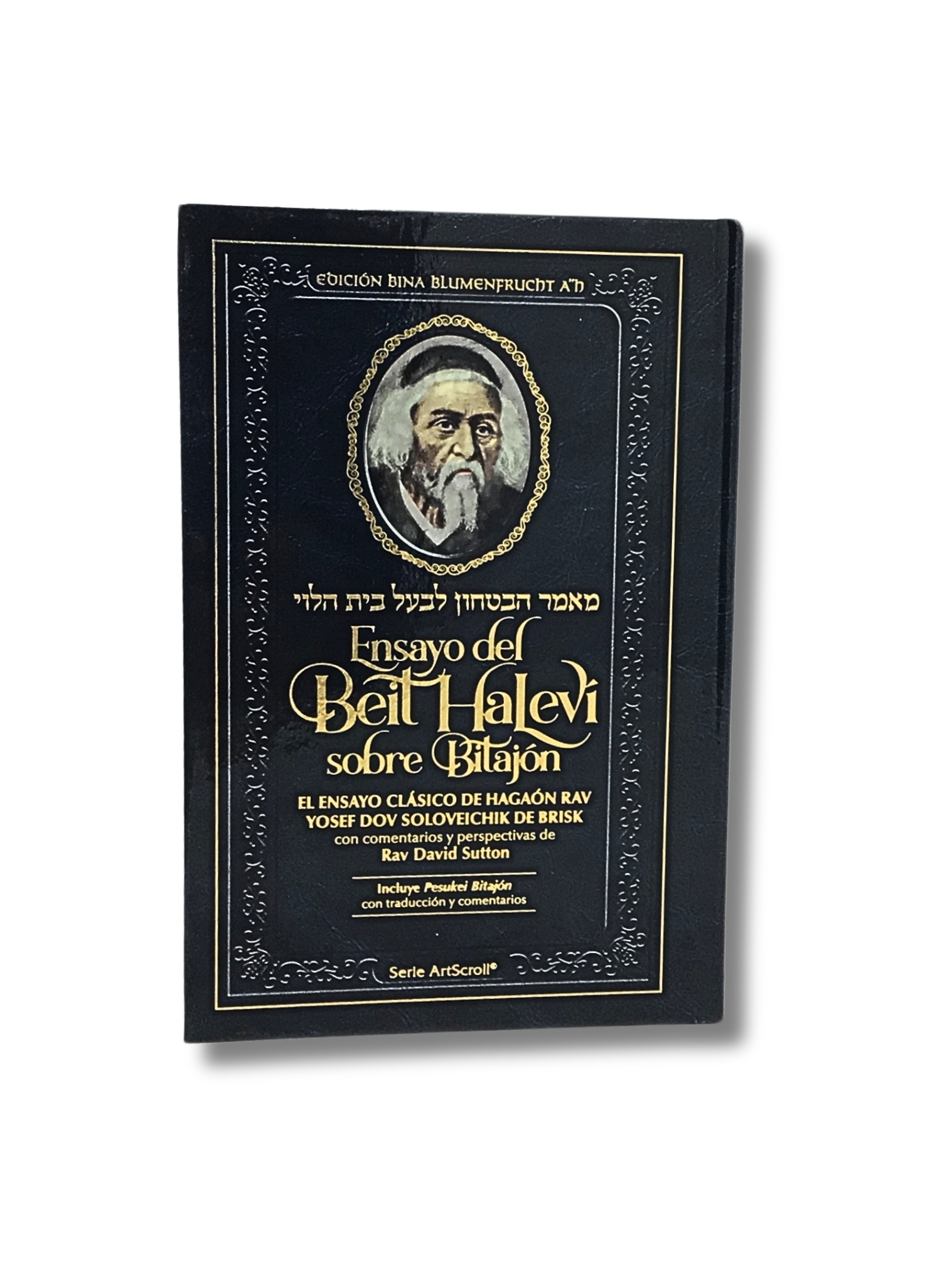 Ensayo del Beit Halevi sobre Bitajon