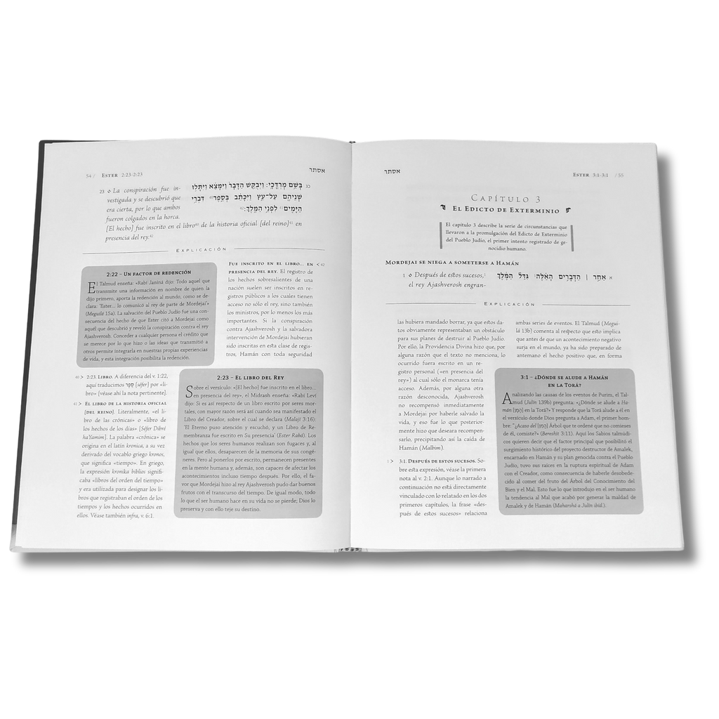 El Libro de Ester la Biblia explicada Chico