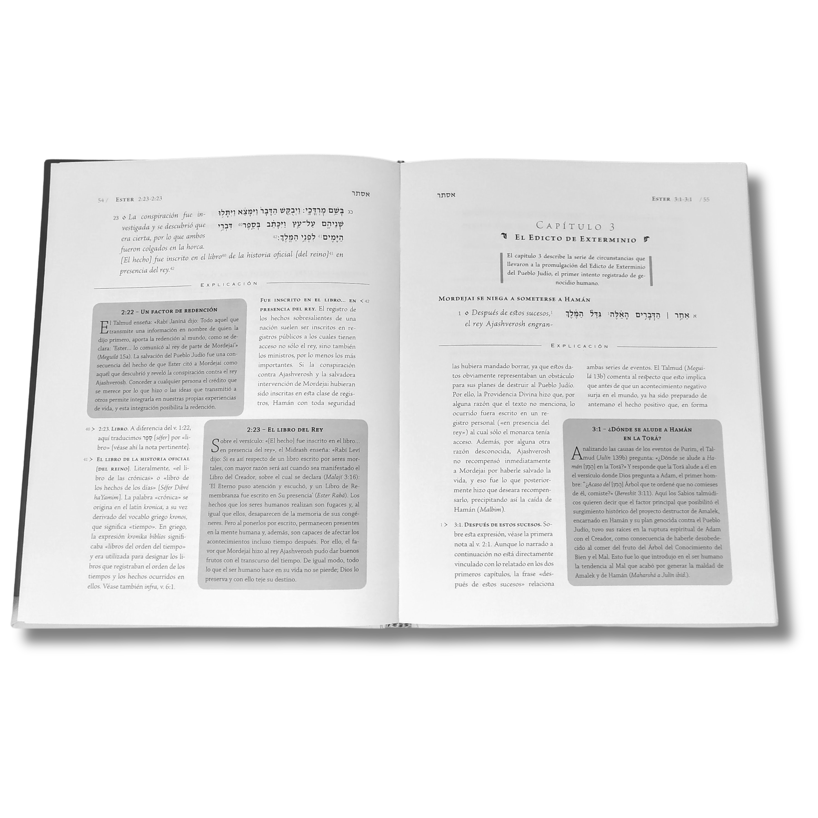 El Libro de Ester la Biblia explicada Chico