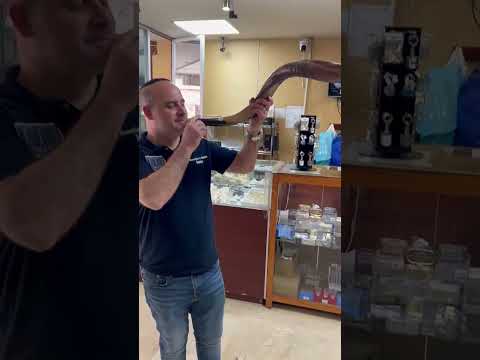 Shofar antílope super jumbo