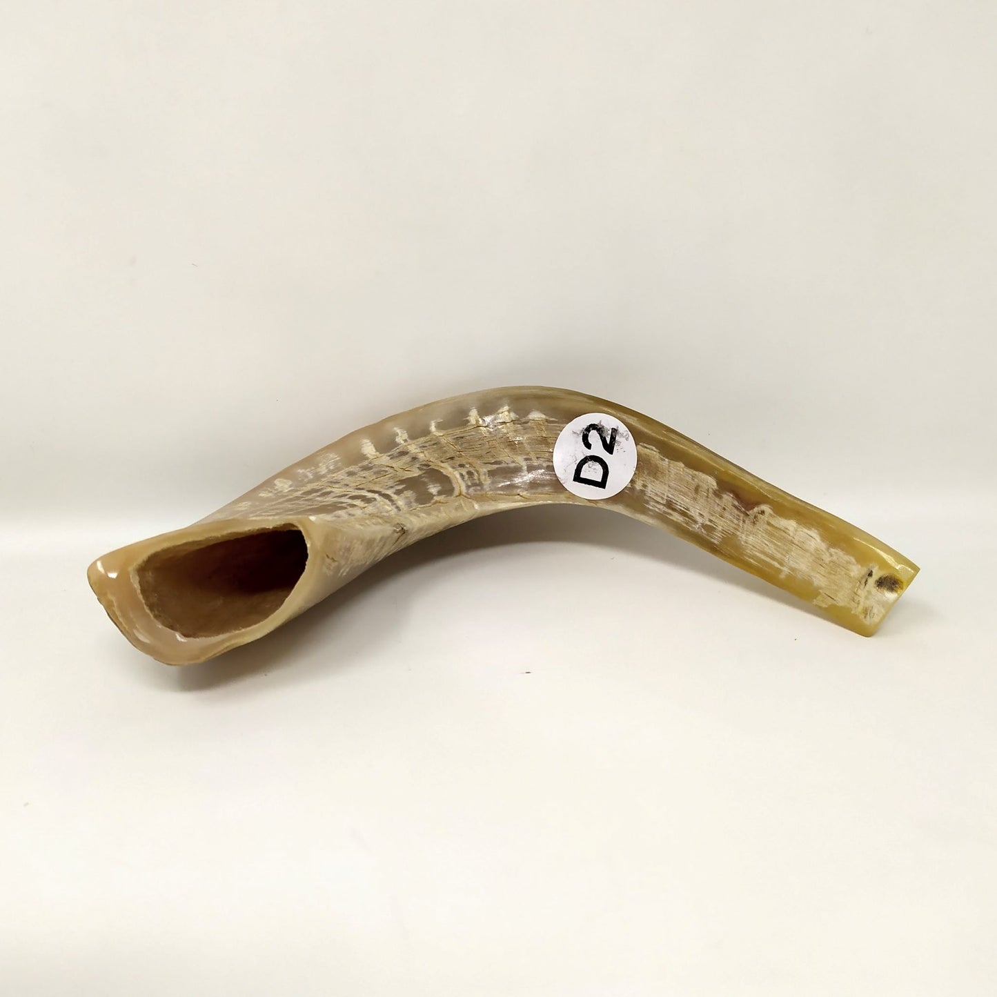 Shofar carnero D2