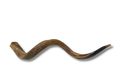 Shofar antílope super jumbo