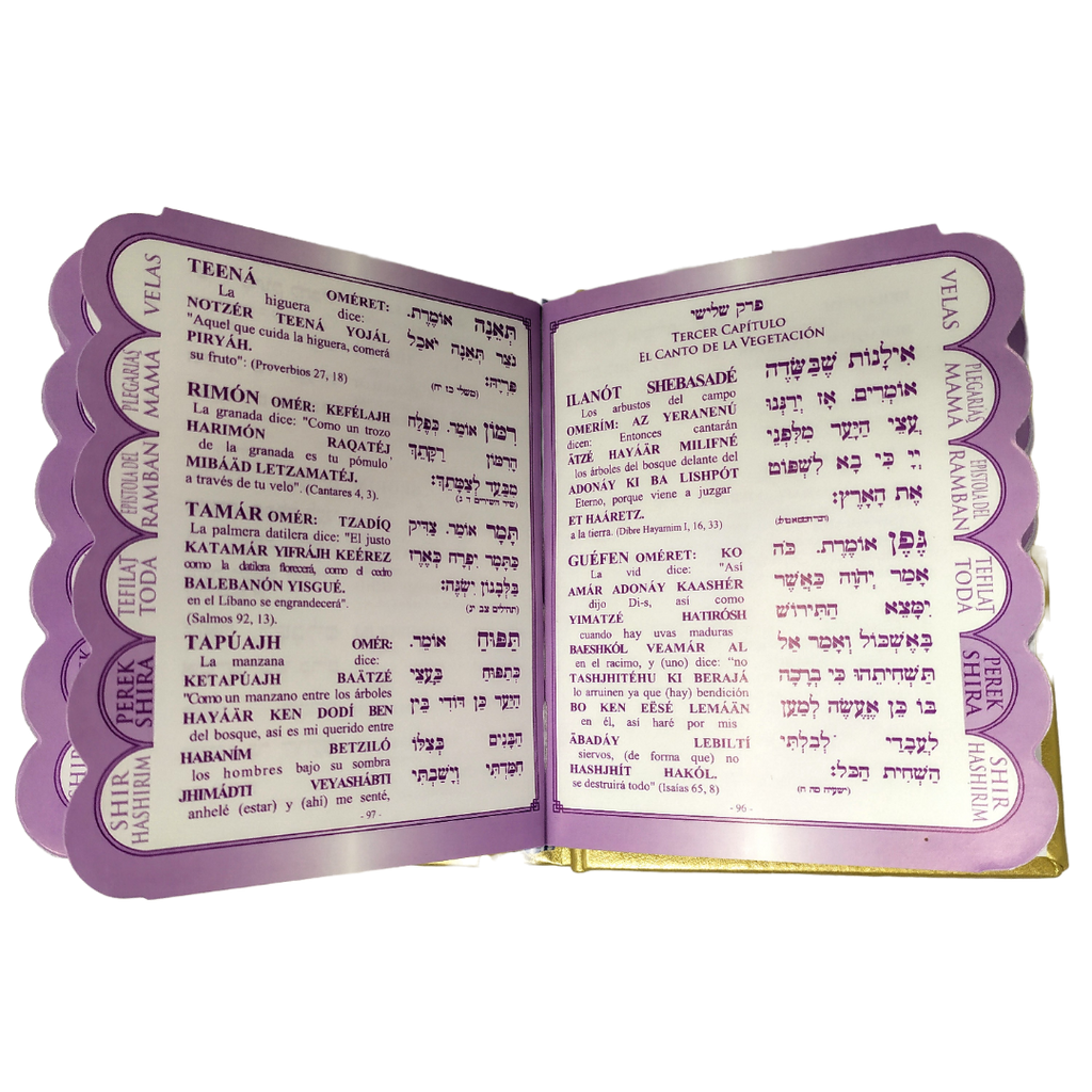 Plegarias de la mujer pasta dura bolsillo varios colores