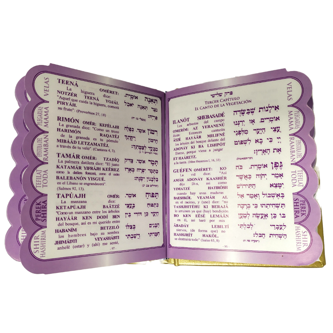 Women's Prayers hardcover pocket various colors