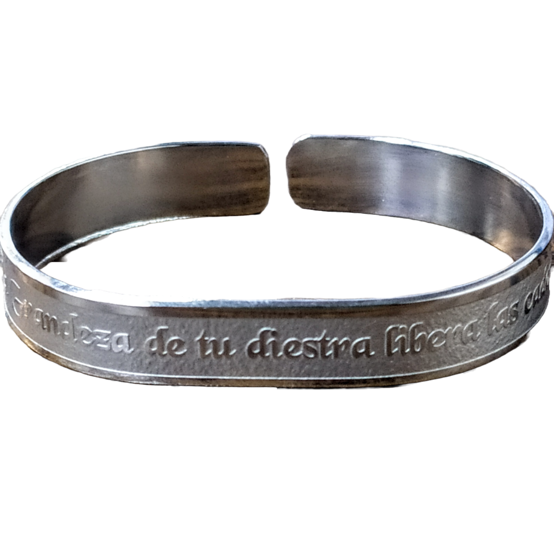 Ana Bejoaj Spanish steel bracelet 85093