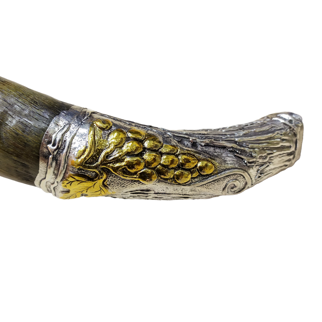 Silver Antelope Shofar Large Jerusalem