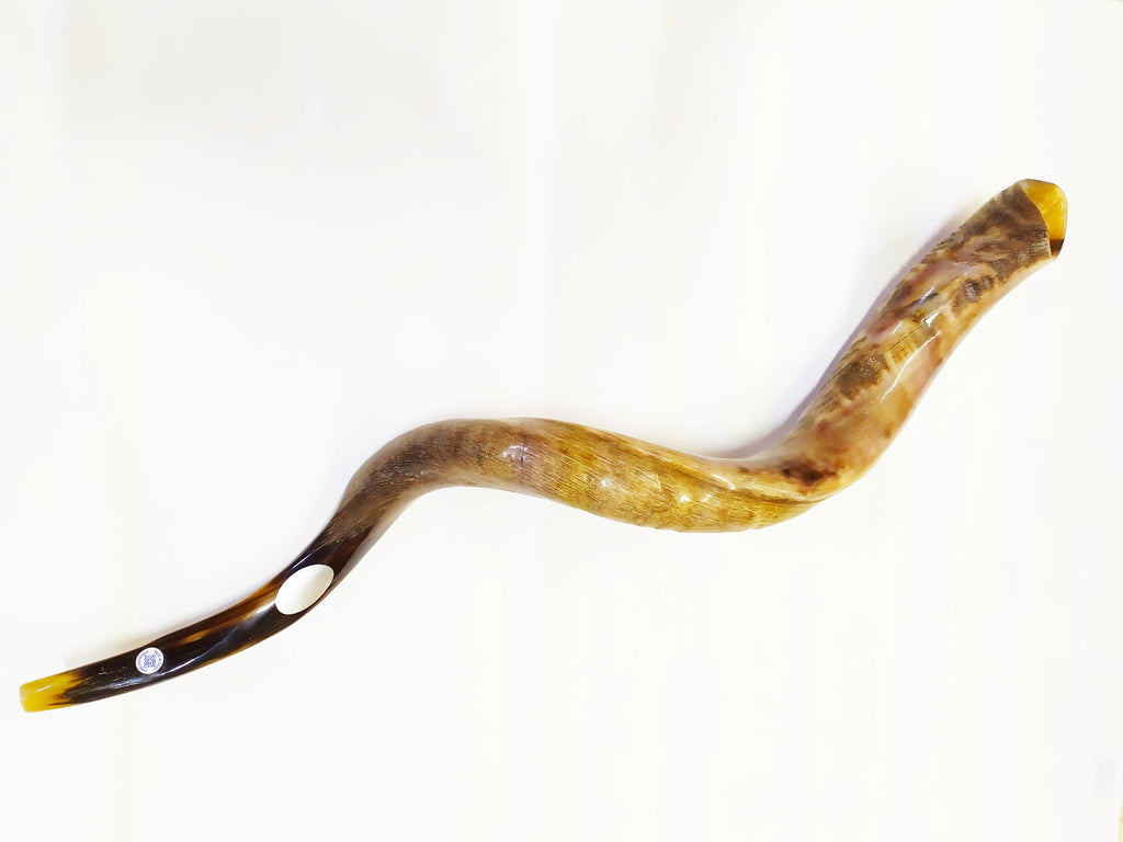 Shofar antílope super jumbo