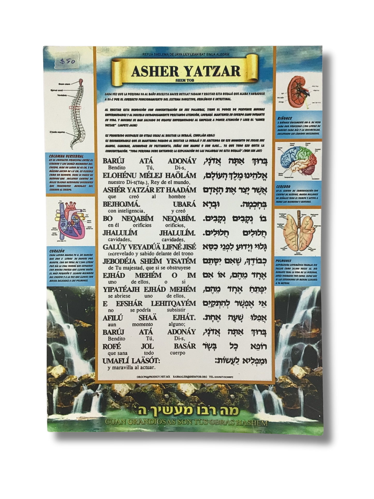 Asher Yatzar poster mediano 2345