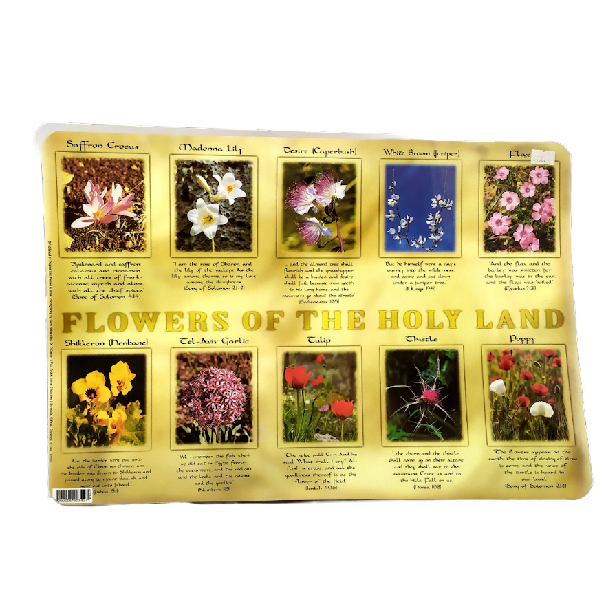 Mantel  flora Israel para mesa 903427-37