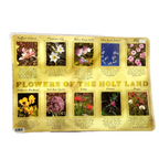 Mantel  flora Israel para mesa 903427-37