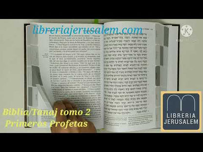 Biblia Tanaj  tomo 2  Primeros profetas edición Katz TKP2
