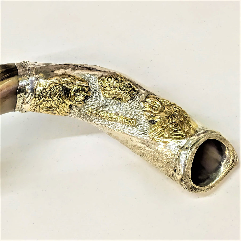Shofar Antilope plata Large Leon de Juda - Libreria Jerusalem Centro