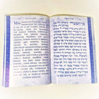 Hagada de Pesaj Mor Deror - Libreria Jerusalem Centro