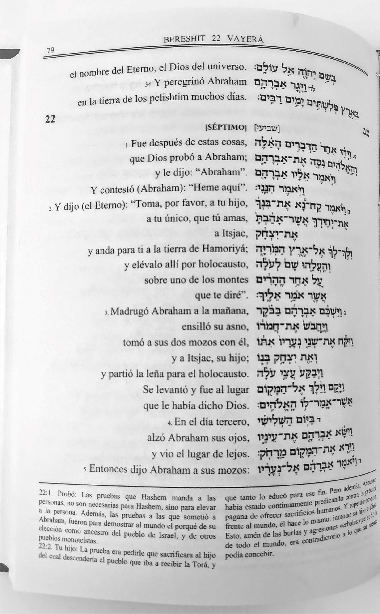 La Torá lineal Bereshit - Libreria Jerusalem Centro