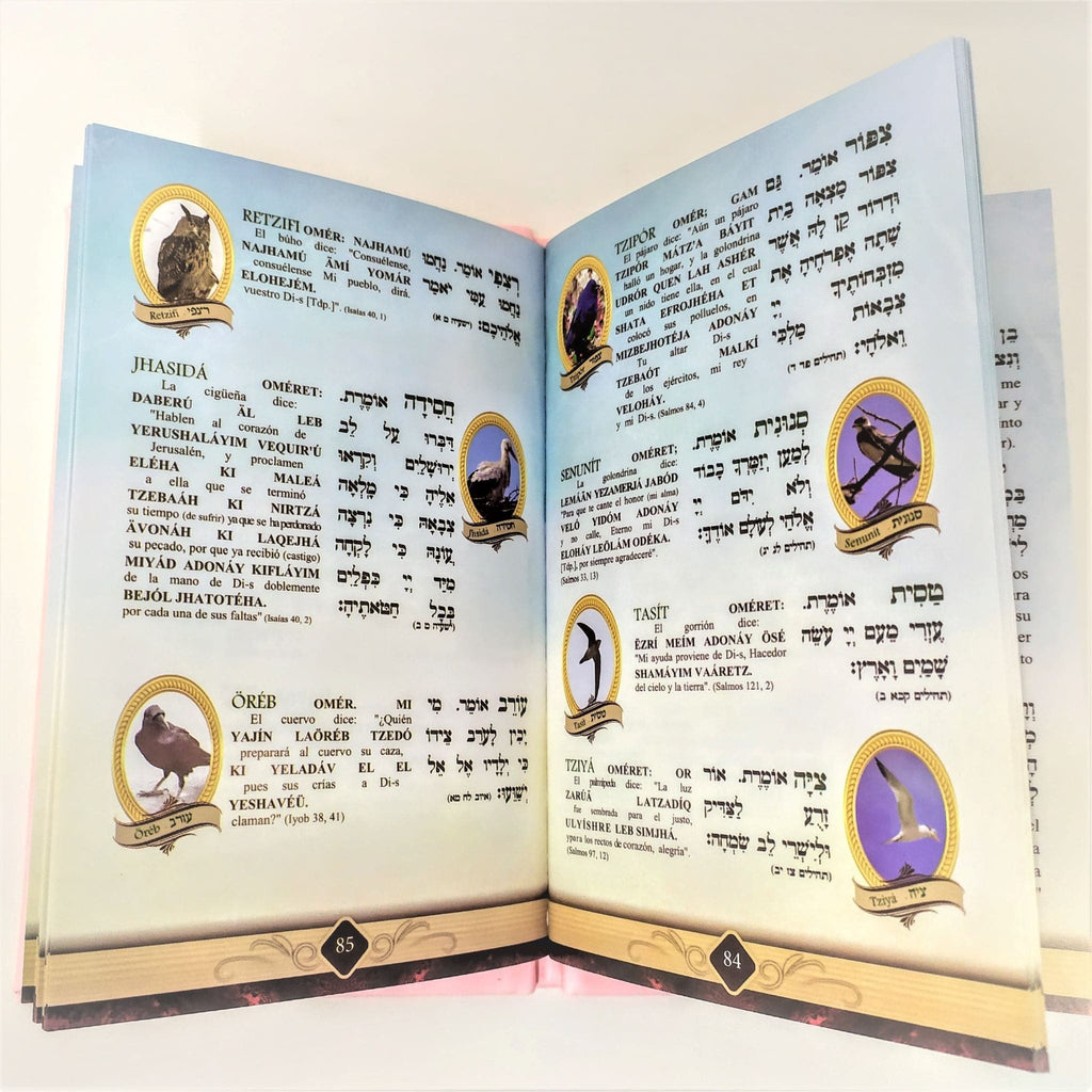 Pereq Shira Shem Tob Pasta Dura, grande varios colores - Libreria Jerusalem Centro