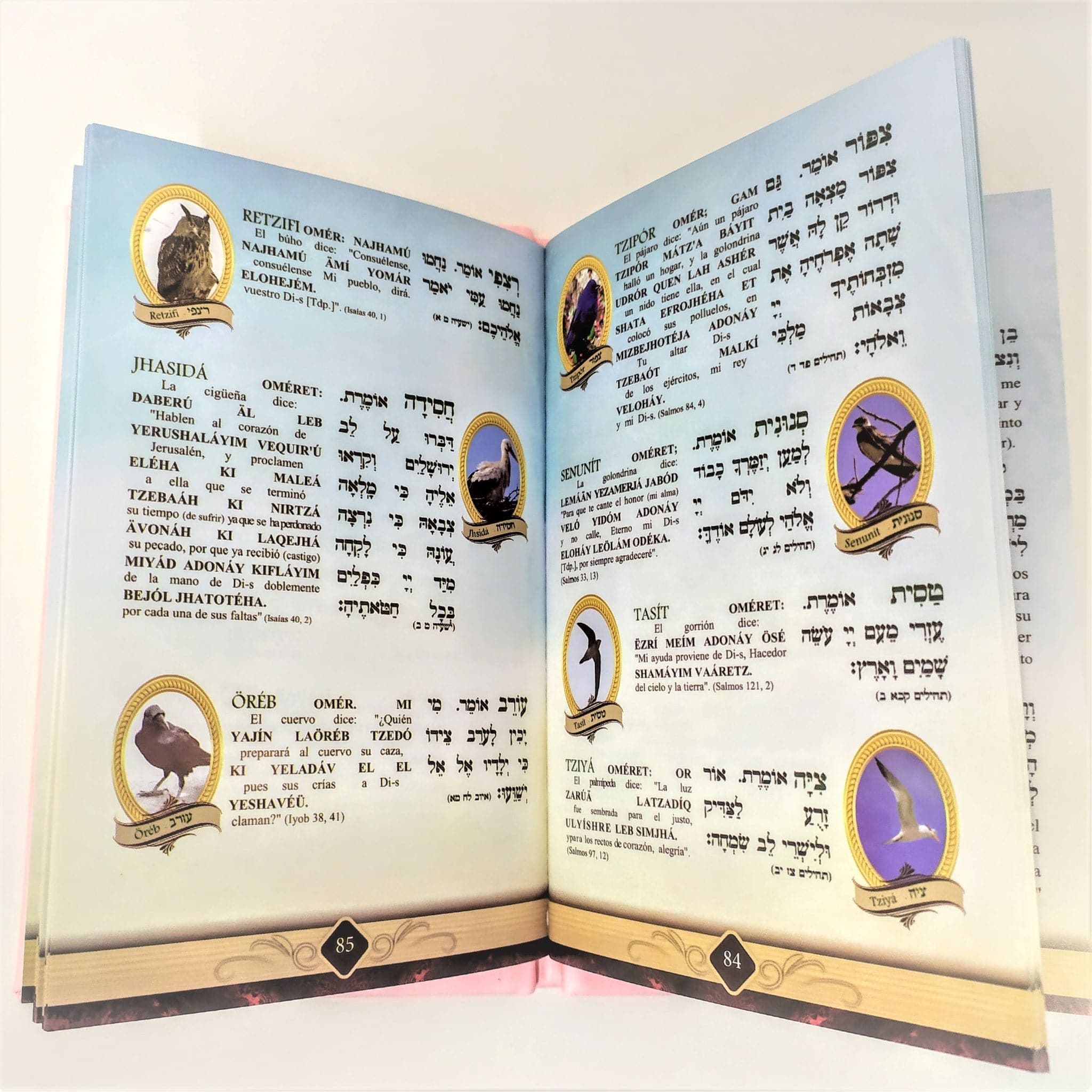 Pereq Shira Shem Tob Pasta Dura, grande varios colores - Libreria Jerusalem Centro