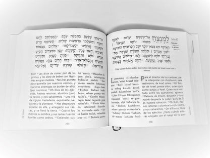 Salmos Tehilim de David letra grande Editorial Jerusalem - Libreria Jerusalem Centro