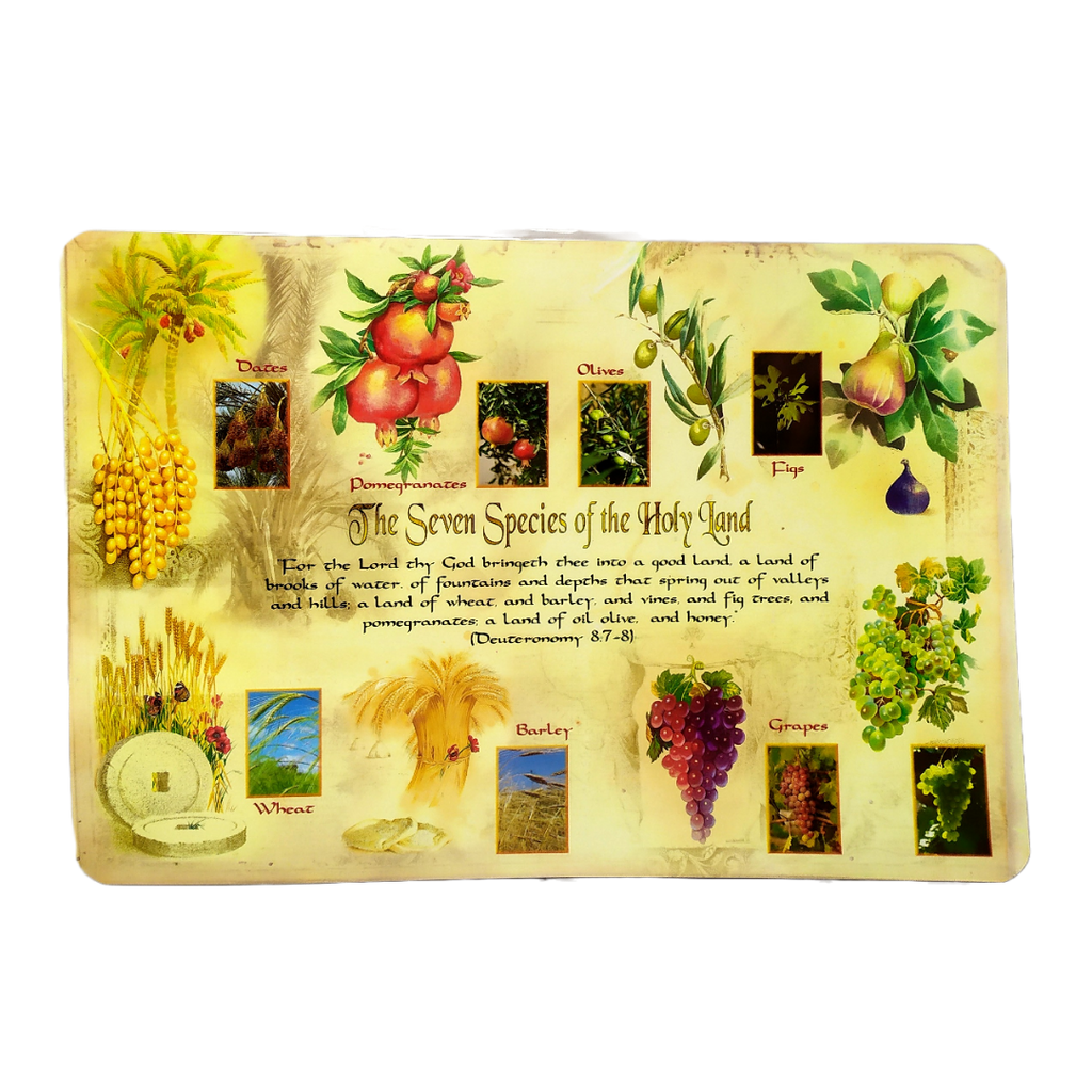 Mantel  flora Israel para mesa 903427-37