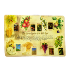 Mantel  flora Israel para mesa 903427-37