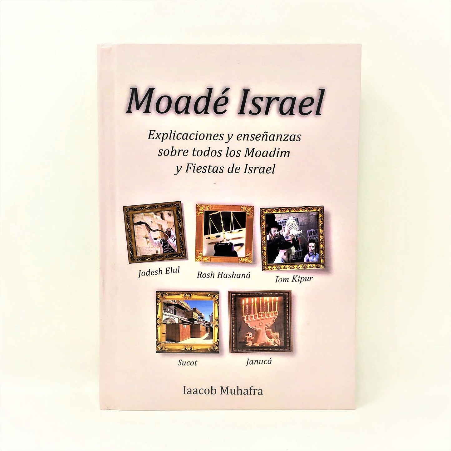 Moade Israel 11239