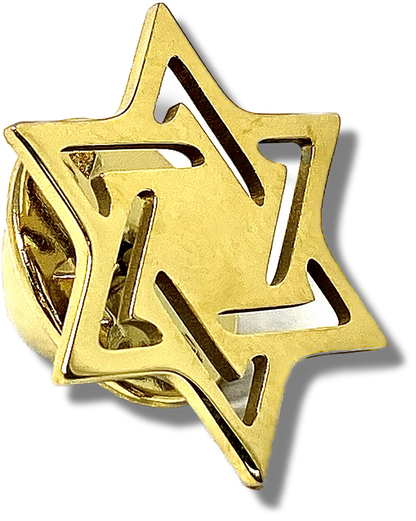 Pin maguen david