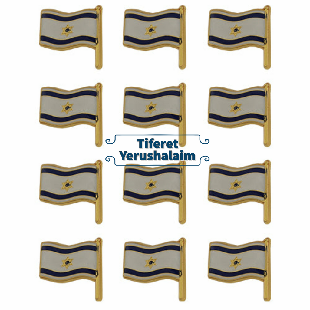 Pin Bandera Israel 44359