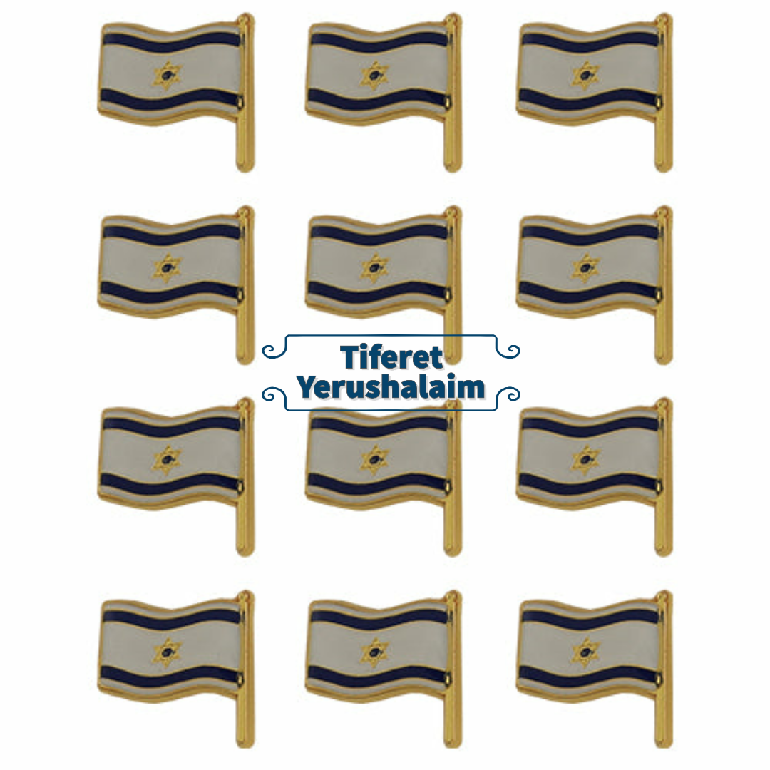 Pin Bandera Israel 44359