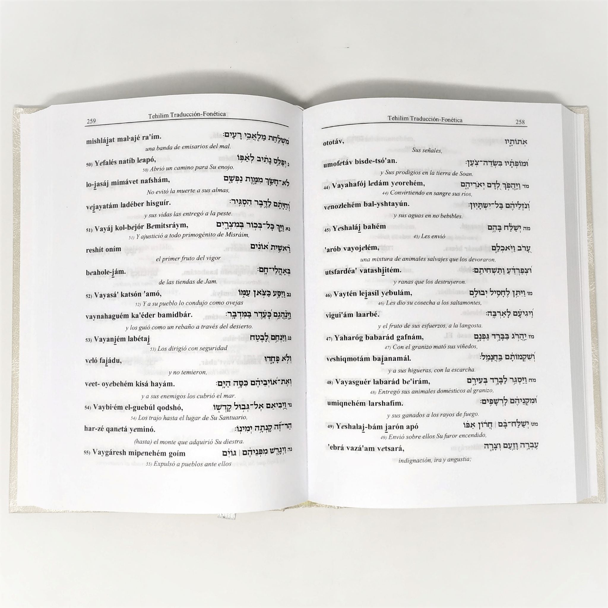 Salmos Tehilim Editorial Interlineal hebreo español y fonetica