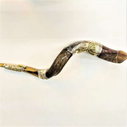 Shofar Antilope plata Large Menora - Libreria Jerusalem Centro