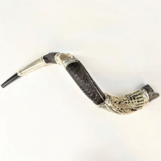 Shofar Antilope plata Large menora con leones - Libreria Jerusalem Centro