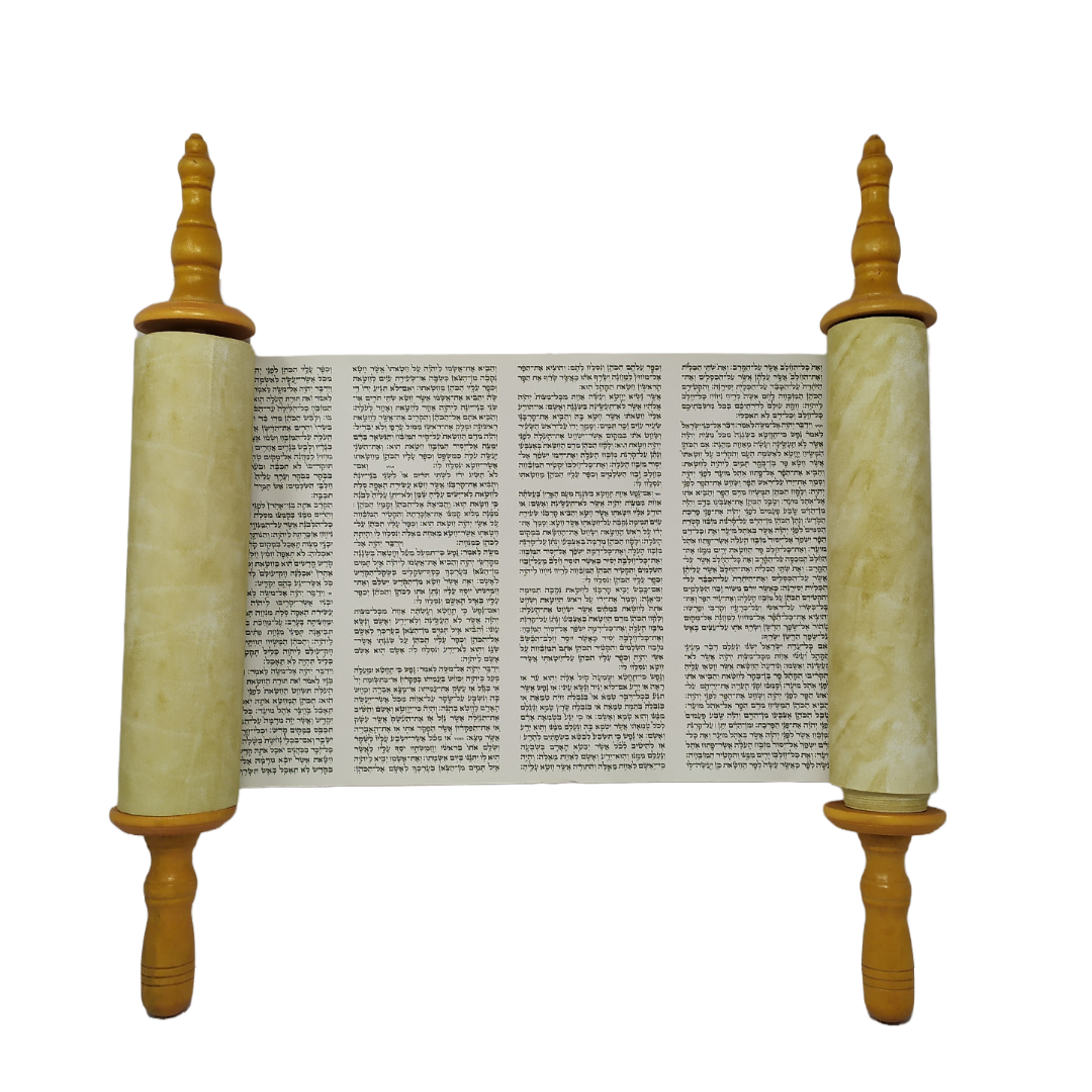 Sefer Tora Ashkenazi grande caja sencilla ST-TR9