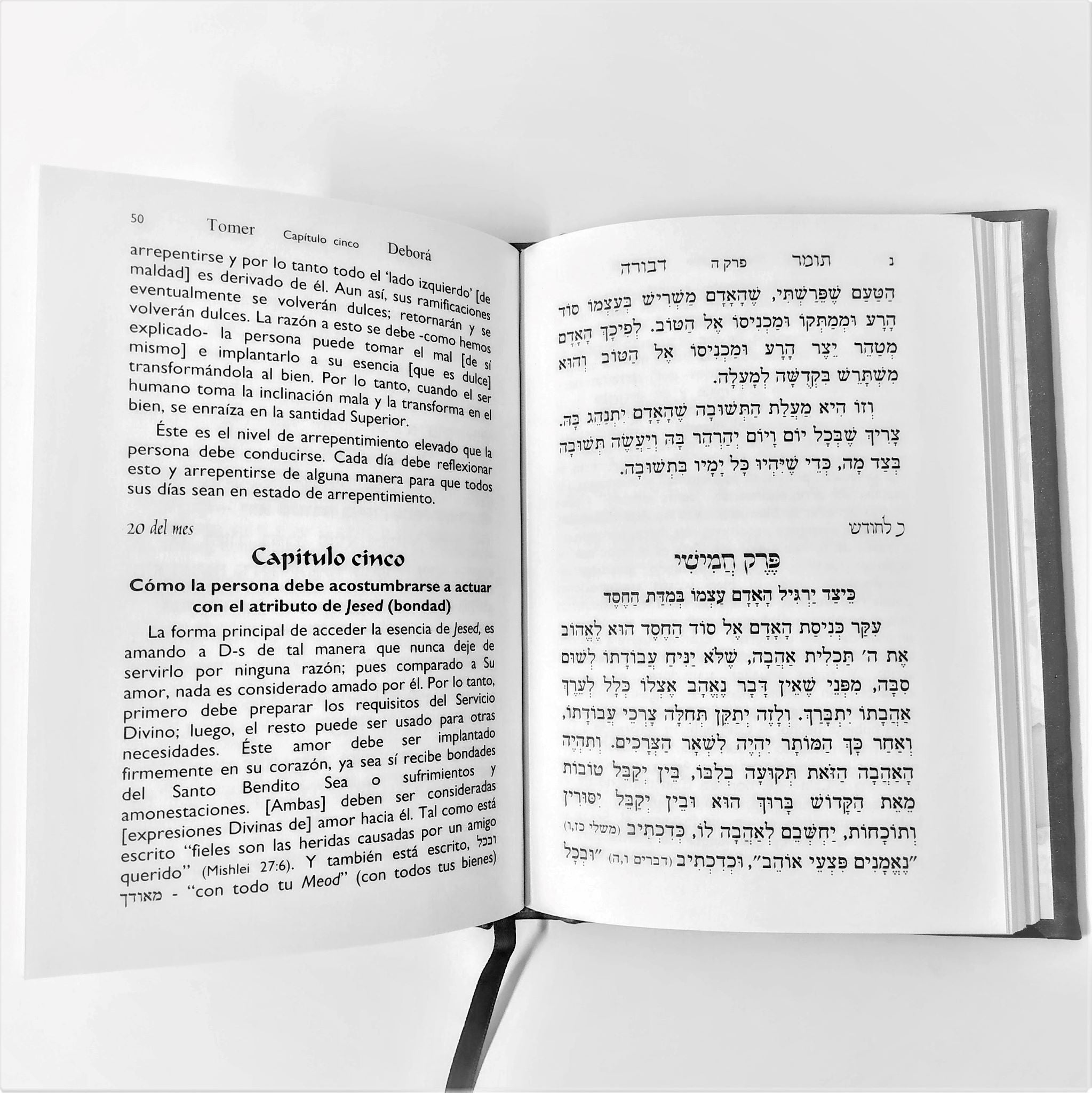 Tomer Debora Chico - Libreria Jerusalem Centro